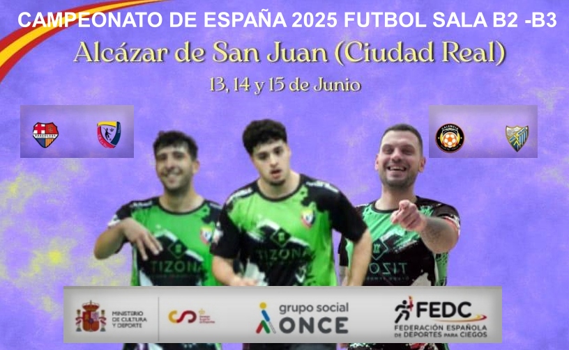 CAMPEONATO DE ESPAÑA  FUTBOL SALA